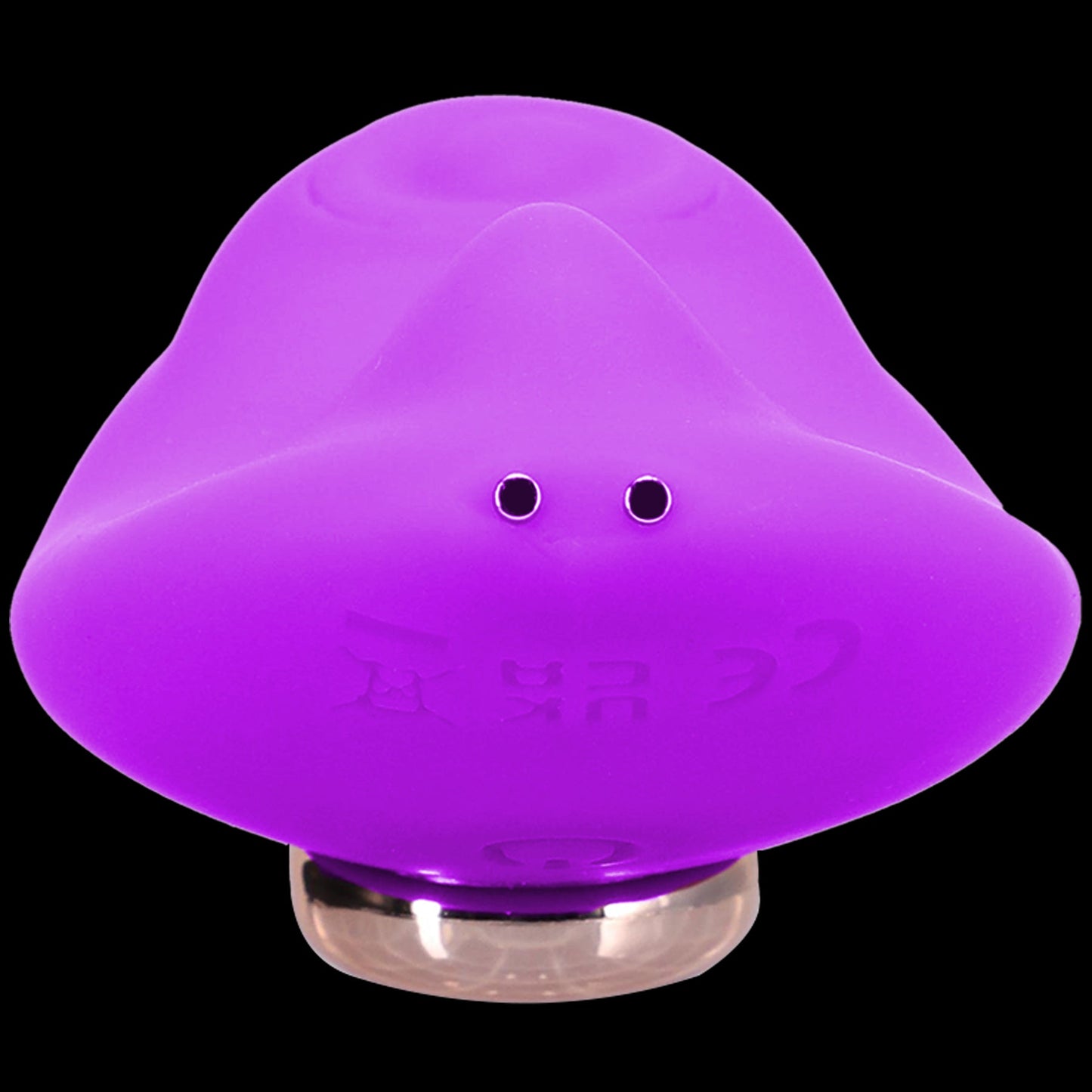 Remote Controlled Panty Vibrator for Beginners in a Bag