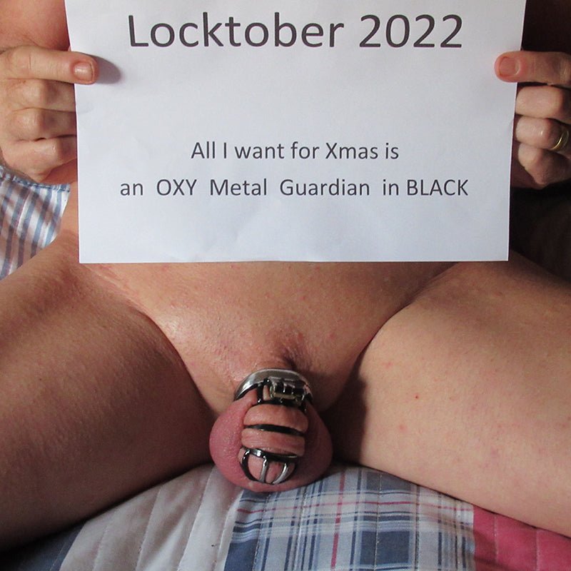 Chastity Discovery Set - Locked in Steel