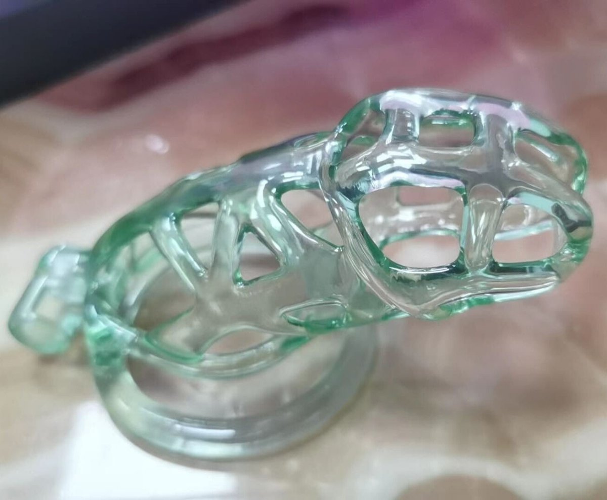 Custom Size - The guardian - 3D printed chastity Premium Paint