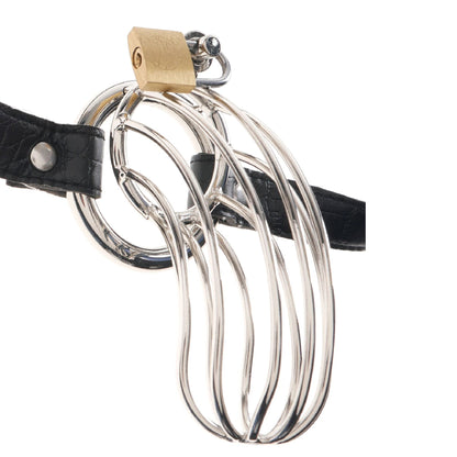 The Prisoner Extreme Locking Steel Chastity Cage