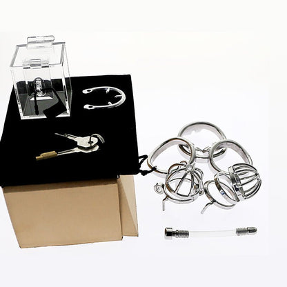 Chastity Discovery Set - Locked in Steel